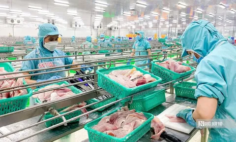 Ứng phó thuế đối ứng từ Mỹ, ngành thuỷ sản đề xuất 2 gói hỗ trợ doanh nghiệp