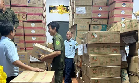 Phát hiện kho chứa gần 12.000 lon sữa bột không rõ nguồn gốc: Hàng loạt nhãn hiệu Z1000 Gold +, Sanaki Grow IQ Plus (Sun), Gold 1+, ...