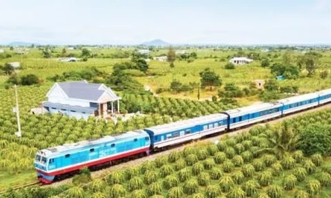 Cứ thuê bên ngoài sản xuất, rồi nhập về lắp ráp sẽ triệt tiêu ngành đường sắt