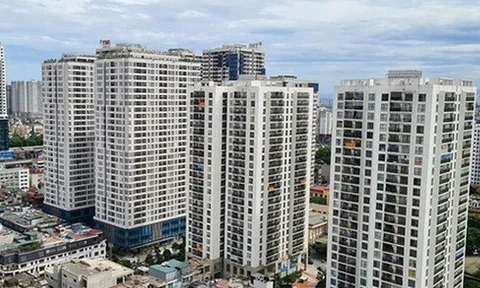 Chuyên gia hiến kế giải quyết chuyện giá nhà