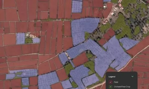 Công nghệ 25/10: Google đưa API ứng dụng mô hình AI cho Nông nghiệp đến Việt Nam