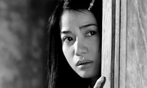 Người đẹp nổi tiếng màn ảnh Việt và những vai diễn để đời trước khi vướng vòng lao lý