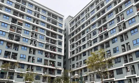 Xử phạt trục lợi nhà xã hội: Bao nhiêu mới đủ sức răn đe?