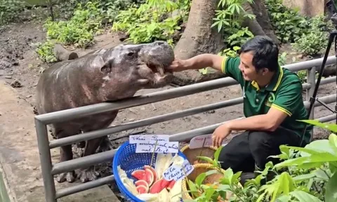 Không ngờ tới những "nhân viên tiêu biểu" đã giúp Thảo Cầm Viên đạt doanh thu trăm tỷ