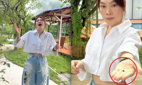 Mỹ Tâm khoe "tài sản khủng", có tiền chưa chắc mua được