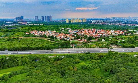 Quá nhanh: Siêu dự án đại lộ 338.000 tỷ đồng vẽ nên "kỳ tích sông Hồng", quy tụ Đèo Cả, Văn Phú, MIK Group... muốn tham gia sẽ khởi công ngày 19/12