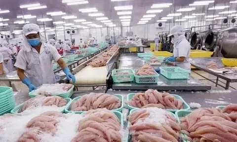 Xuất khẩu thủy sản cả năm dự báo đạt 10,5 tỷ USD