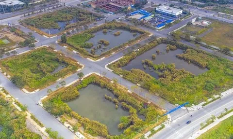 TP.HCM lên kế hoạch đấu giá 7 lô đất Khu đô thị mới Thủ Thiêm