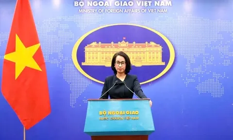 Gần 16 triệu USD hỗ trợ Việt Nam khắc phục hậu quả thiên tai, bão lũ