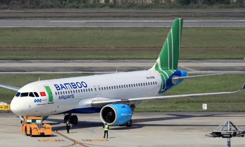 Chỉ khi tăng quy mô đội bay, Bamboo Airways mới có khả năng phục hồi