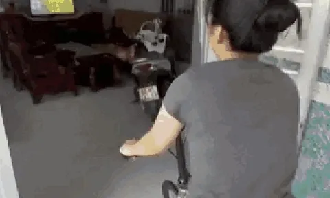 Clip 19 giây quay nhà miền Tây khiến 5 triệu người choáng váng