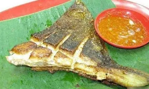 6 loài cá ăn được "nguy hiểm nhất thế giới", có tiền chưa chắc đã được ăn!