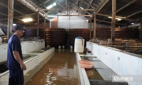 Mưa lũ làm "gián đoạn" chuỗi sản xuất, làng nghề nước mắm Lâm Đồng gấp rút phục hồi