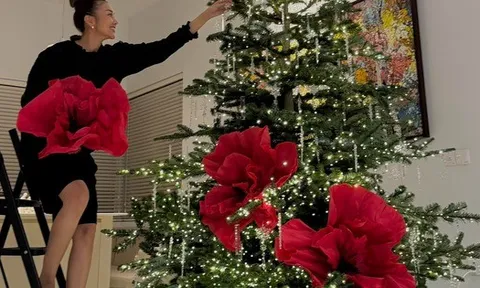 Mỹ nhân Vbiz 40 tuổi mới lấy chồng, không phải làm dâu, sống như bà hoàng trong bạch dinh 1000m²