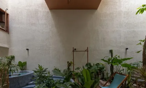 Thiết kế bể bơi giữa ngôi nhà cho gia chủ thư giãn cùng thiên nhiên