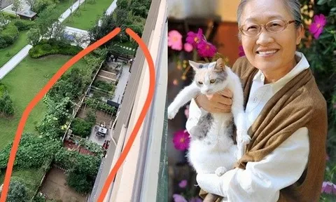 Sau 5 năm sống ở tầng 24, mẹ tôi chuyển xuống tầng một và “sống lại”: Sự thay đổi khiến cả họ hàng bất ngờ