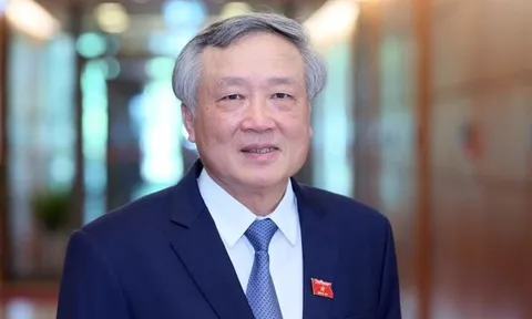 Phó Thủ tướng Nguyễn Hòa Bình làm Trưởng Ban chỉ đạo phòng không nhân dân Trung ương