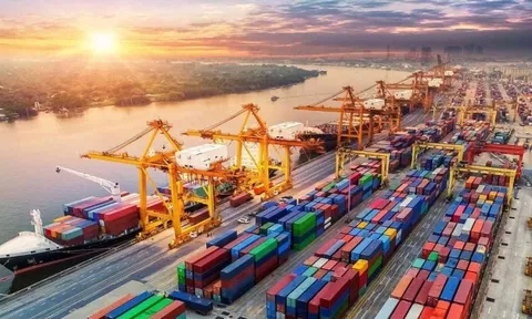 Nhà bán hàng Việt Nam có doanh thu triệu đô từ xuất khẩu toàn cầu mọc lên như nấm sau mưa