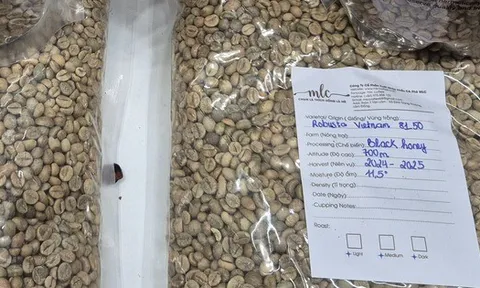 Giá cà phê hôm nay 2-1: Mốc 5.000 USD/tấn rất khó trở lại