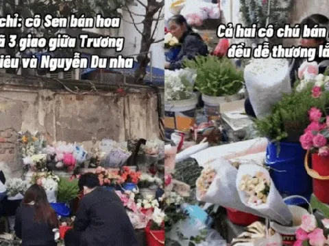 Không cần lên chợ hoa Quảng Bá: Có một “tọa độ hoa rẻ đẹp” đang khiến dân Hà Nội rần rần kéo đến check-in, mua vài bó là có ảnh nghìn like!