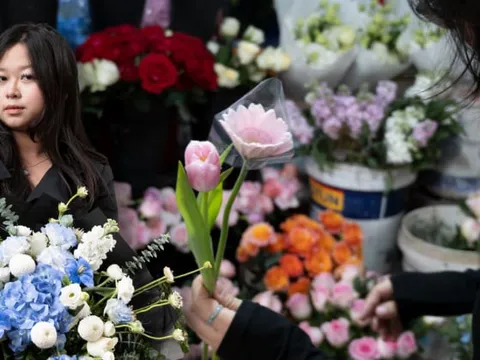 Nghe nói chơi hoa ở Hà Nội mà chưa biết phố Trương Hán Siêu thì chưa phải là sành: Đây là trải nghiệm thực tế