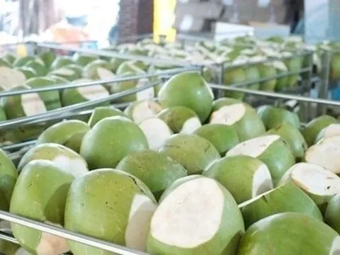 Sau sầu riêng, thêm một 'sản vật' của Việt Nam trở thành đối thủ lớn của Thái Lan: sản lượng hơn 2 triệu tấn/năm, nước ta là ông lớn thứ 7 thế giới