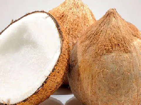 Bất ngờ với giá dừa khô ở miền Tây