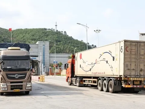 Hàng trăm container sầu riêng 'mắc kẹt' tại cửa khẩu Lạng Sơn