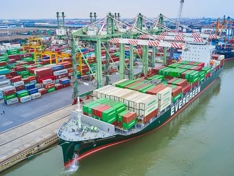 Giá cước tăng, Cảng xanh VIP báo lãi thêm trăm tỷ đồng