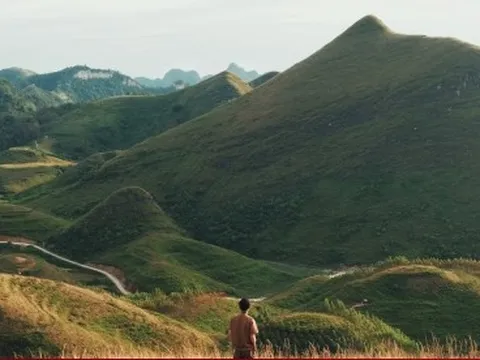 Mùa cỏ cháy phủ vàng đồi Ba Quáng giữa núi rừng Cao Bằng