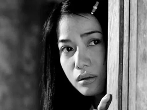 Người đẹp nổi tiếng màn ảnh Việt và những vai diễn để đời trước khi vướng vòng lao lý