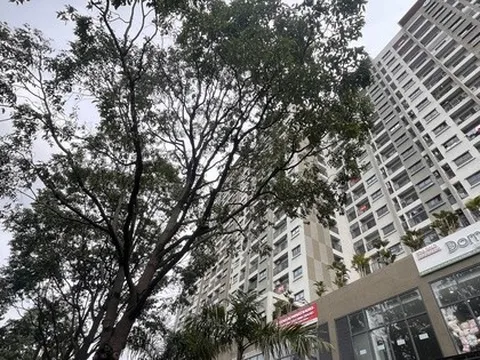 Danh sách 8 dự án nhà ở xã hội tại Đồng Nai được vay gói tín dụng 120.000 tỉ đồng