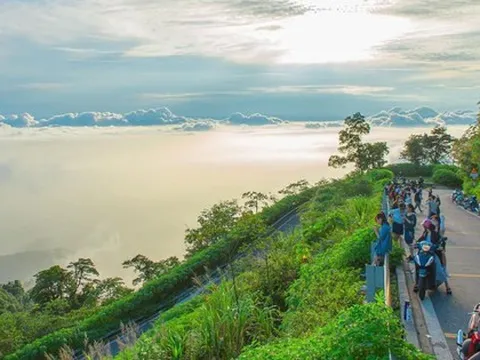 Cảnh tượng ngay lúc này ở Ba Vì, Hà Nội: Du khách trầm trồ nhận xét "Cả năm chỉ có 1 lần!"