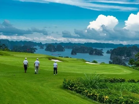 Chuyên gia Nhật Bản và Việt Nam nhận định: Không phải bóng đá, đây mới là môn thể thao có giá trị kinh tế “khủng” nhất, mỗi năm thu về cả tỷ USD