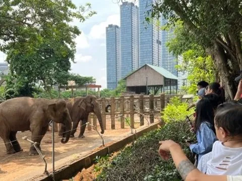 Thảo Cầm Viên Sài Gòn bỏ túi 450 triệu đồng/ngày