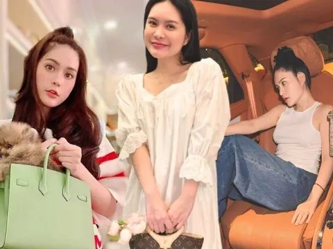 BST túi hàng hiệu của Đoàn Di Băng: Hermès đựng cún cưng, Dior và Chanel để đi chợ