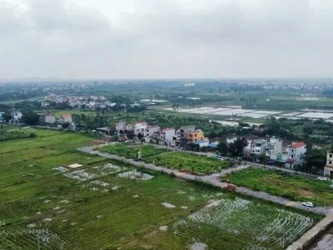 Kéo dài miễn thuế sử dụng đất nông nghiệp thêm 5 năm