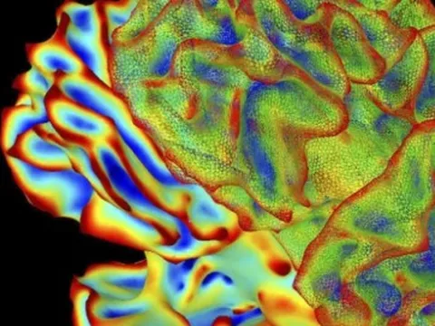 Công nghệ đột phá: Trí tuệ nhân tạo đọc được suy nghĩ con người