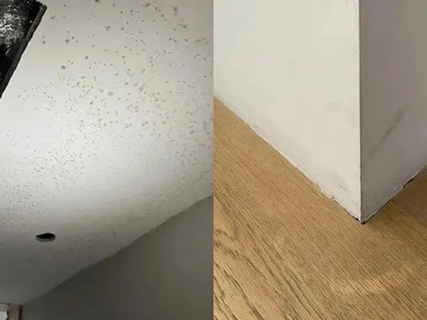 Đẹp trên mạng nhưng thảm họa ngoài đời: 6 thiết kế khiến cả nhà tôi hối hận sau vài tháng ở