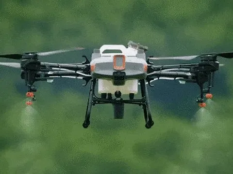 Một dự án 5 triệu USD của Liên hợp quốc có thể "thay đổi cuộc đời" của 21.000 người Việt Nam