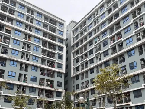 Xử phạt trục lợi nhà xã hội: Bao nhiêu mới đủ sức răn đe?