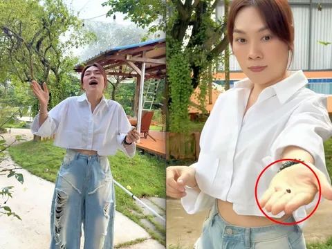 Mỹ Tâm khoe "tài sản khủng", có tiền chưa chắc mua được