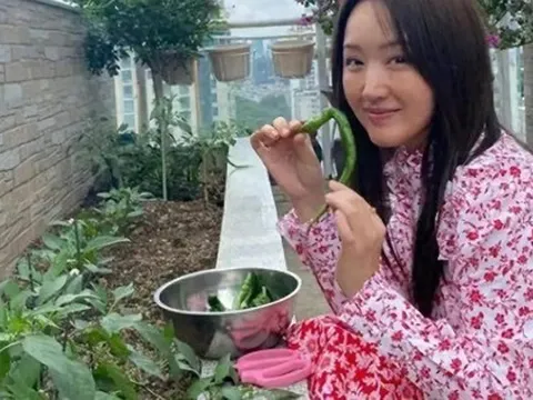 Căn nhà của Dương Vũ Anh, 53 tuổi, gây sốt: Decor sân vườn, bếp nhỏ, góc đọc sách đẹp như tạp chí