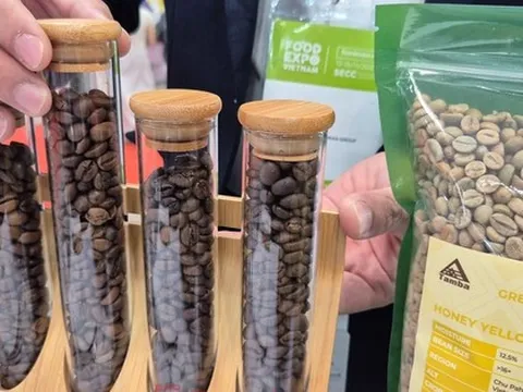 Giá cà phê hôm nay 14 -11: Tiếp tục rớt giá