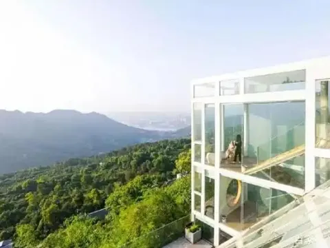 3 người bạn chung tiền xây nhà kính bên vách núi, cùng nhau dưỡng già: Gian nan khởi nghiệp trở thành ký ức ấm áp, có nỗ lực có thành công