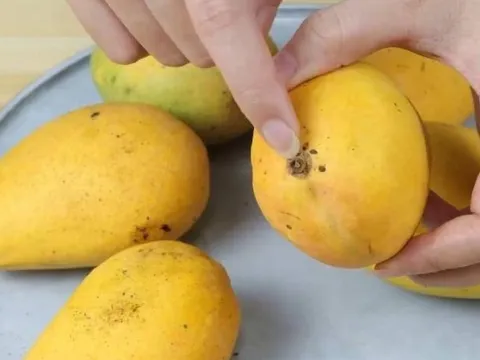 4 dấu hiệu nhận biết xoài chín ngọt tự nhiên, thịt dày, hạt lép