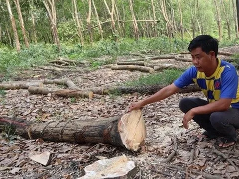 Hơn 300 tỉ đồng giải phóng mặt bằng làm cao tốc TP HCM - Thủ Dầu Một - Chơn Thành qua Đồng Nai