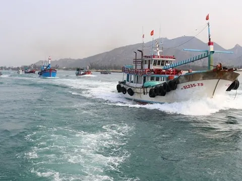 Kiểm soát tàu cá và thông tin ngư dân trên ứng dụng VNeID