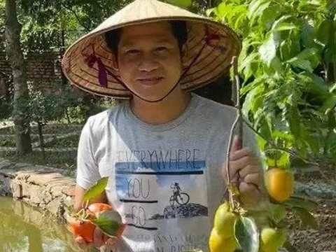 Báu vật trong biệt thự của Trọng Tấn