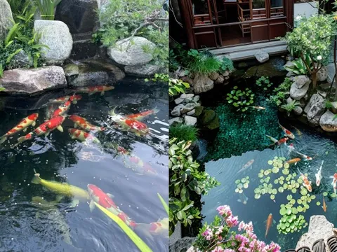 Trước nhà có ao phong thủy tốt hay xấu? Đọc xong bớt lo lấp ao vội